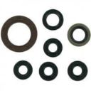 Zestaw uszczelniaczy silnikowych rm250 06-08