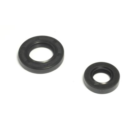 ATHENA s.paraolio YAMAHA tt-r 230 2005-2007 engine