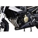 Crashbar / gmole SW MOTECH