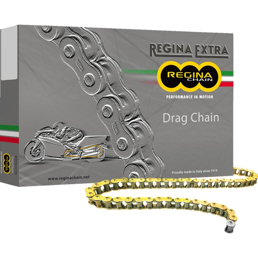 Łańcuch napędowy REGINA DR 520x160L