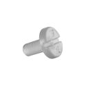 Screws SHOT (PEAK) FURIOUS TRANSPARENT