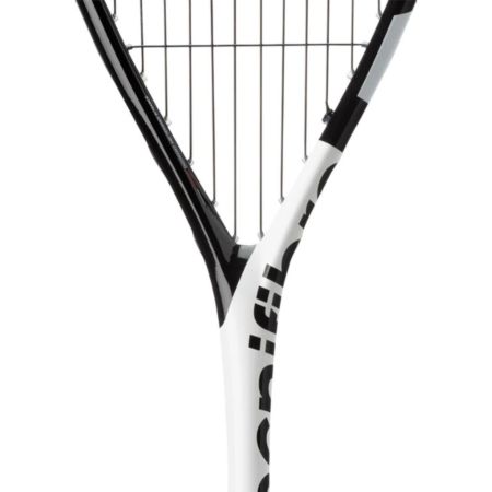 Rakieta Tecnifibre Dynergy 130