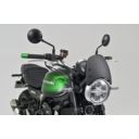 Osłona licznika DAYTONA KAWASAKI Z 900