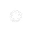 Tarcza hamulcowa MOTO MASTER FLAME FIXED 220 MM