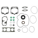 USZCZELKI SILNIKA SNO-X 89-711307 89-711307 #63079